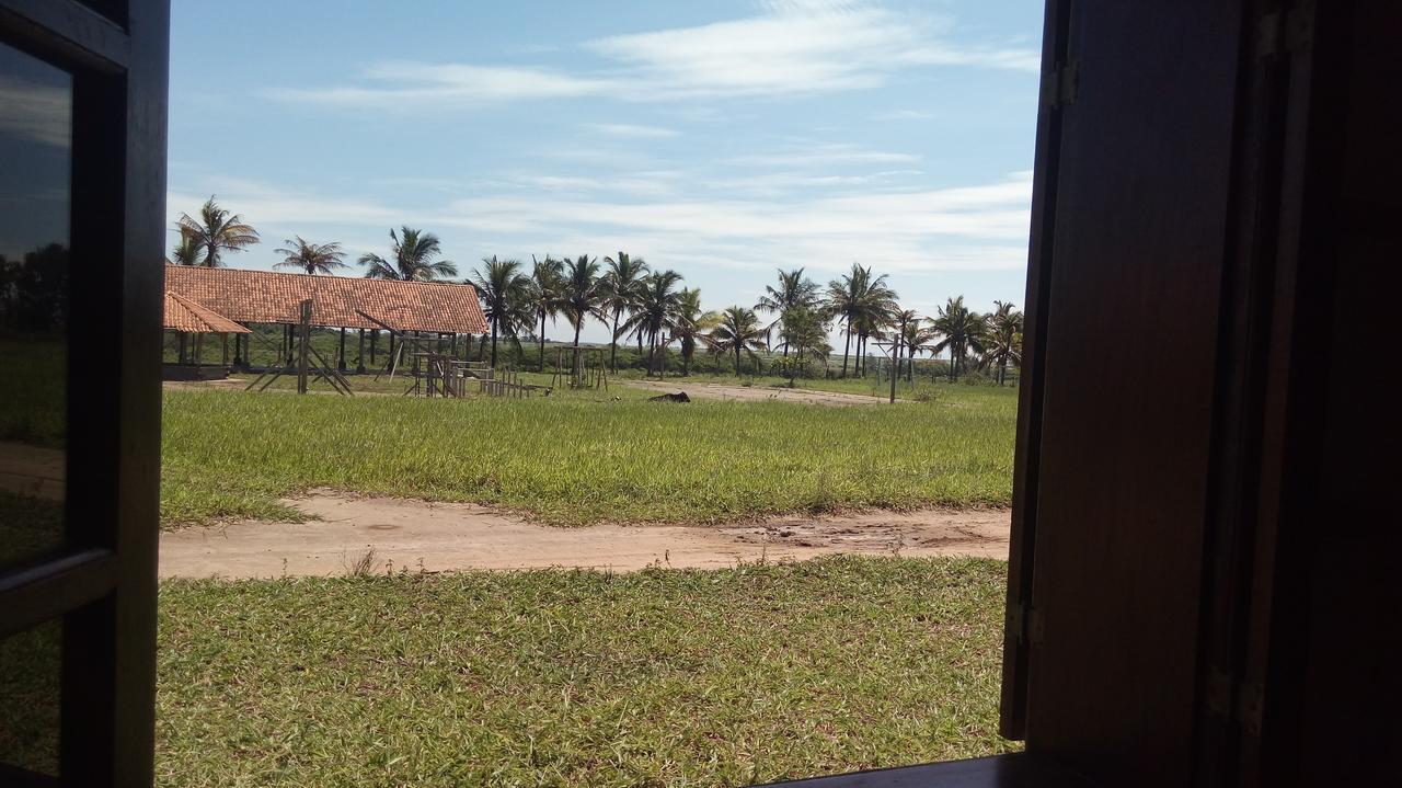 Bed and Breakfast Fazenda Sao Felipe Sao Francisco de Itabapoana Zewnętrze zdjęcie